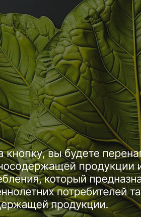 Стики для glo с капсулой и без: в чем разница?