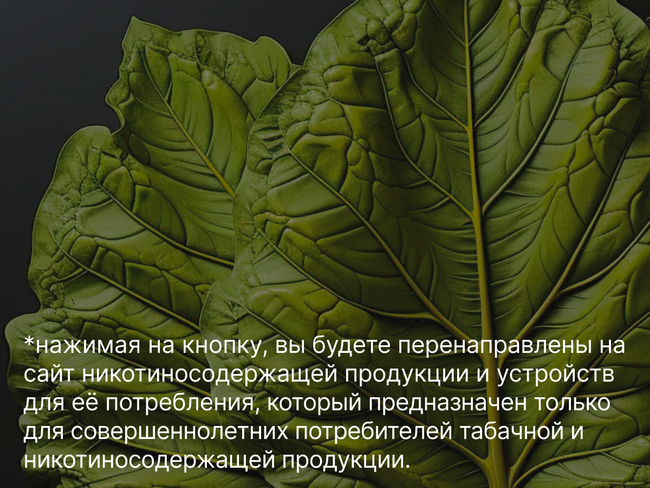 Какой табак используется в стиках?